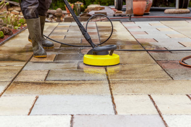 Best Animal Enclosure Cleaning  in Fort Sumner, NM